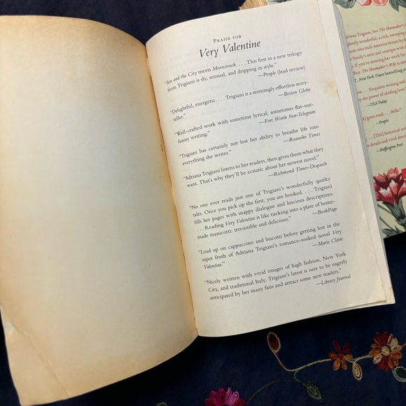 Adriana Trigiani Book Set - Very Valentine & The Shoemaker’s Wife Novel Duo - Picture 11 of 16